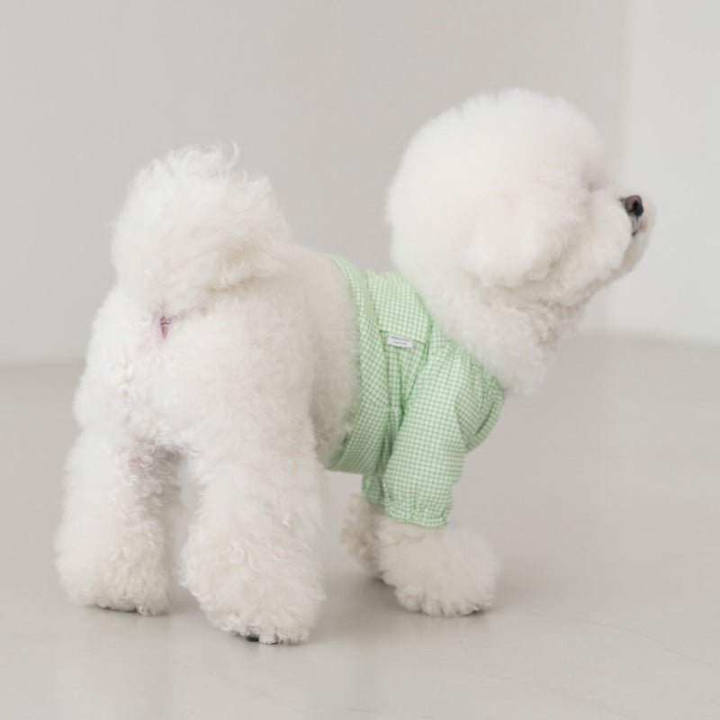 Dentist Appointment Pumpkin Crop Top - Green - CreatureLand