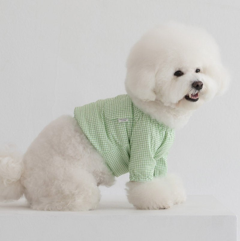 Dentist Appointment Pumpkin Crop Top - Green - CreatureLand