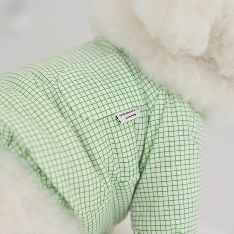 Dentist Appointment Pumpkin Crop Top - Green - CreatureLand