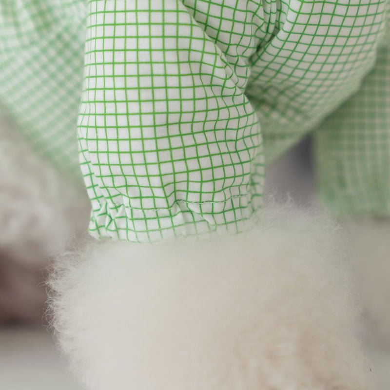 Dentist Appointment Pumpkin Crop Top - Green - CreatureLand