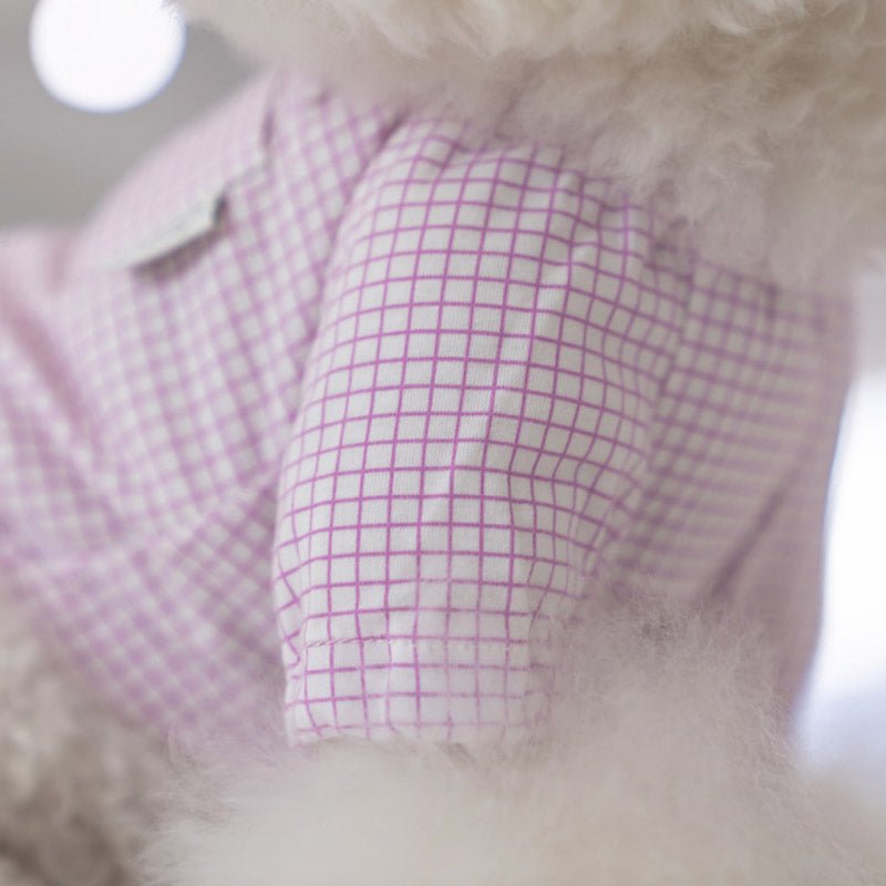 Dentist Appointment Pumpkin Crop Top - Purple - CreatureLand