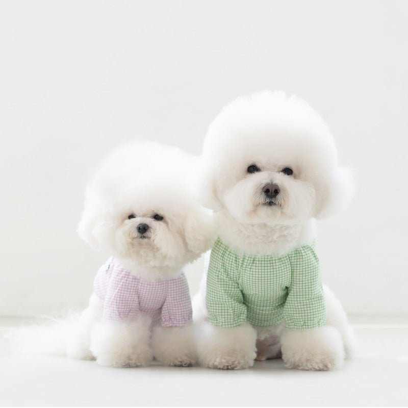 Dentist Appointment Pumpkin Crop Top - Purple - CreatureLand