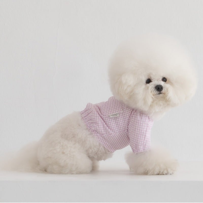 Dentist Appointment Pumpkin Crop Top - Purple - CreatureLand