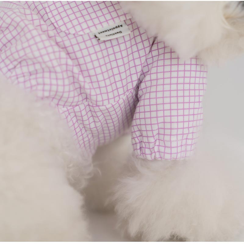 Dentist Appointment Pumpkin Crop Top - Purple - CreatureLand