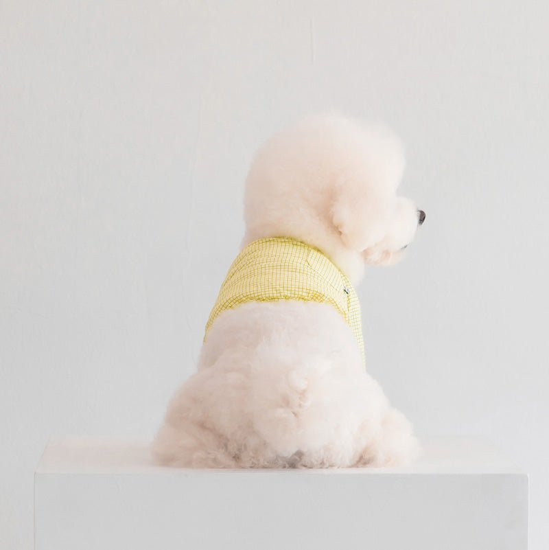 Dentist Appointment Pumpkin Crop Top - Yellow - CreatureLand