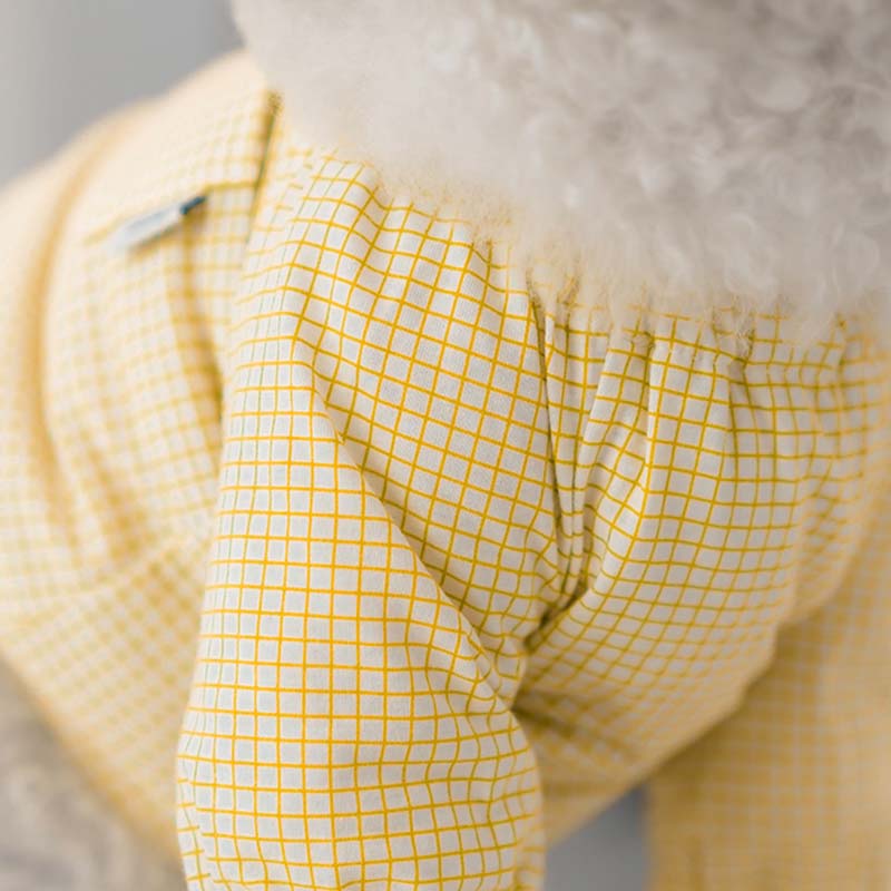 Dentist Appointment Pumpkin Crop Top - Yellow - CreatureLand