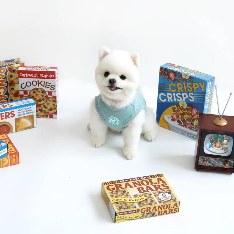 Dentist Appointment Snoopy Check T-Shirt - Blue - CreatureLand