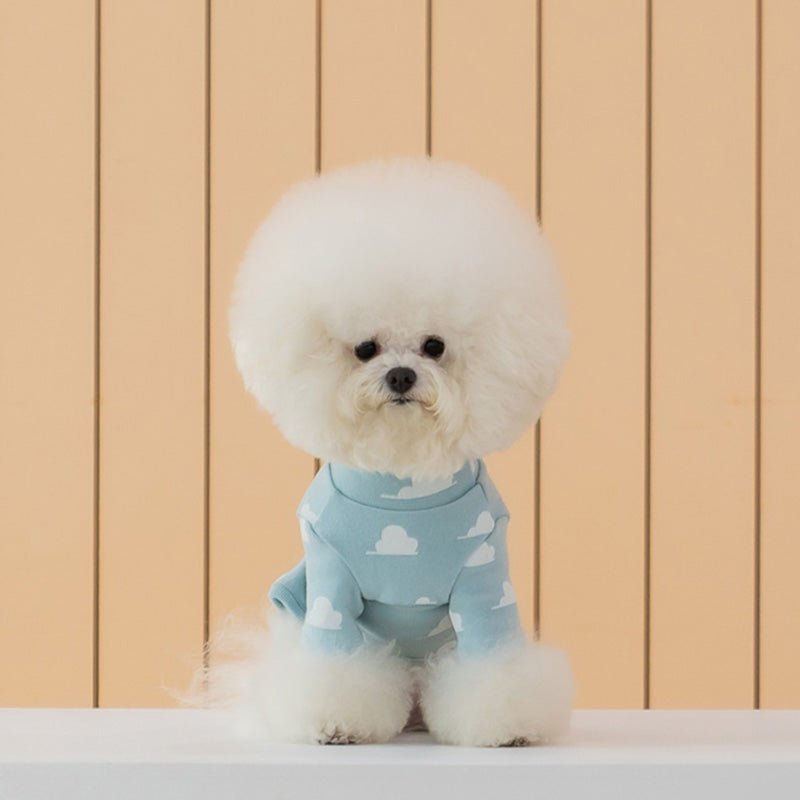 Dentist Appointment Toy Story Overall - Buzz - CreatureLand