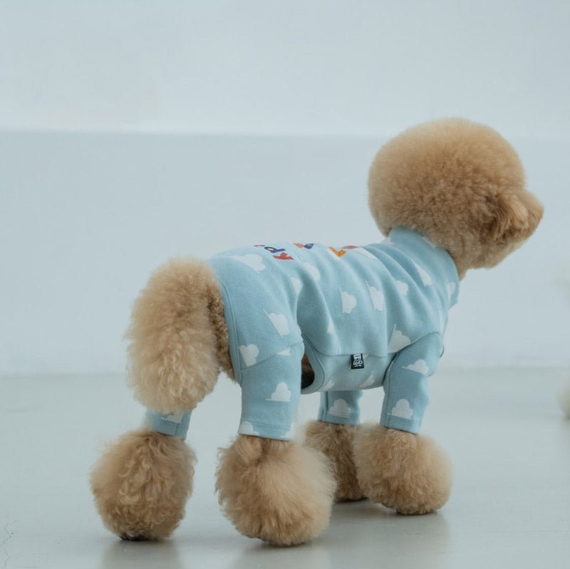 Dentist Appointment Toy Story Overall - Woody - CreatureLand