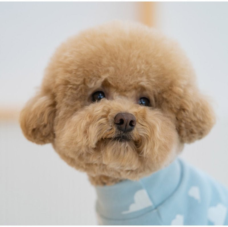 Dentist Appointment Toy Story Overall - Woody - CreatureLand