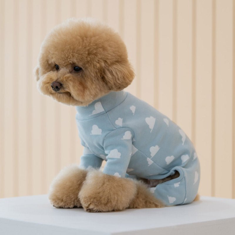 Dentist Appointment Toy Story Overall - Woody - CreatureLand