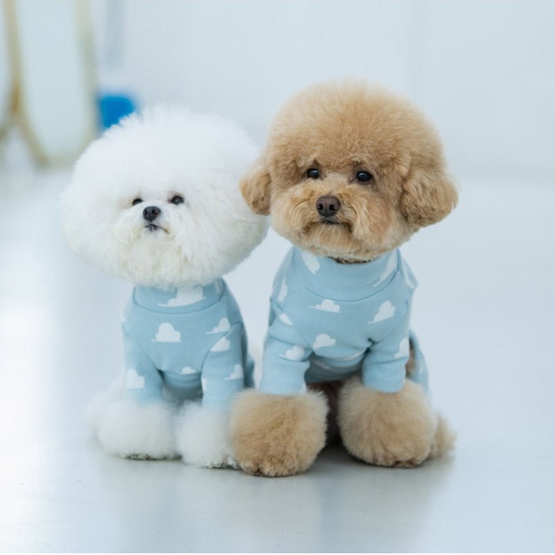 Dentist Appointment Toy Story Overall - Woody - CreatureLand