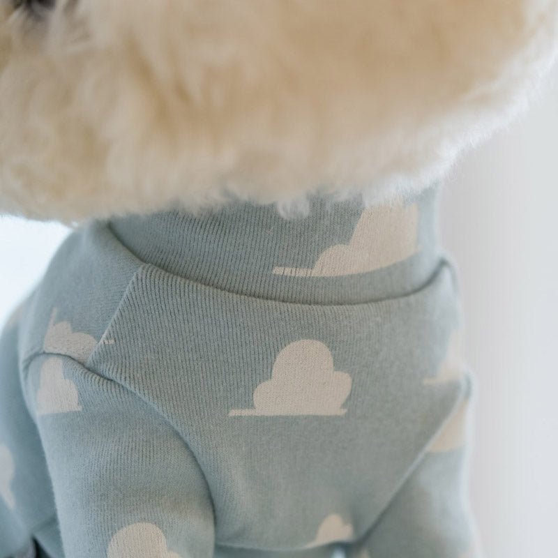 Dentist Appointment Toy Story Overall - Woody - CreatureLand