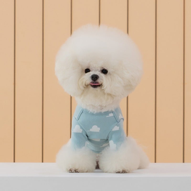 Dentist Appointment Toy Story Sleeve Top - Lotso Bear - CreatureLand