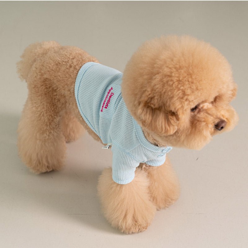 Dentist Appointment Waffle Crop T-shirt - Blue - CreatureLand