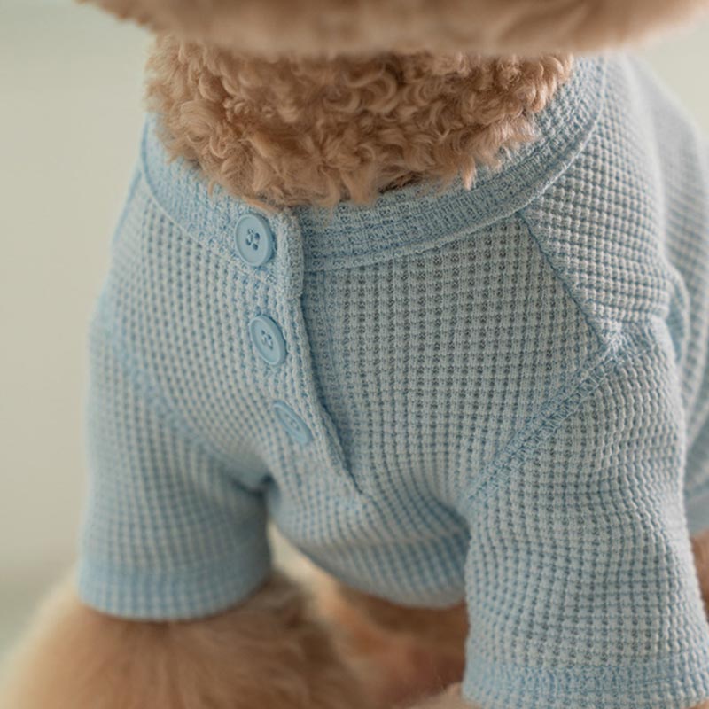 Dentist Appointment Waffle Crop T-shirt - Blue - CreatureLand