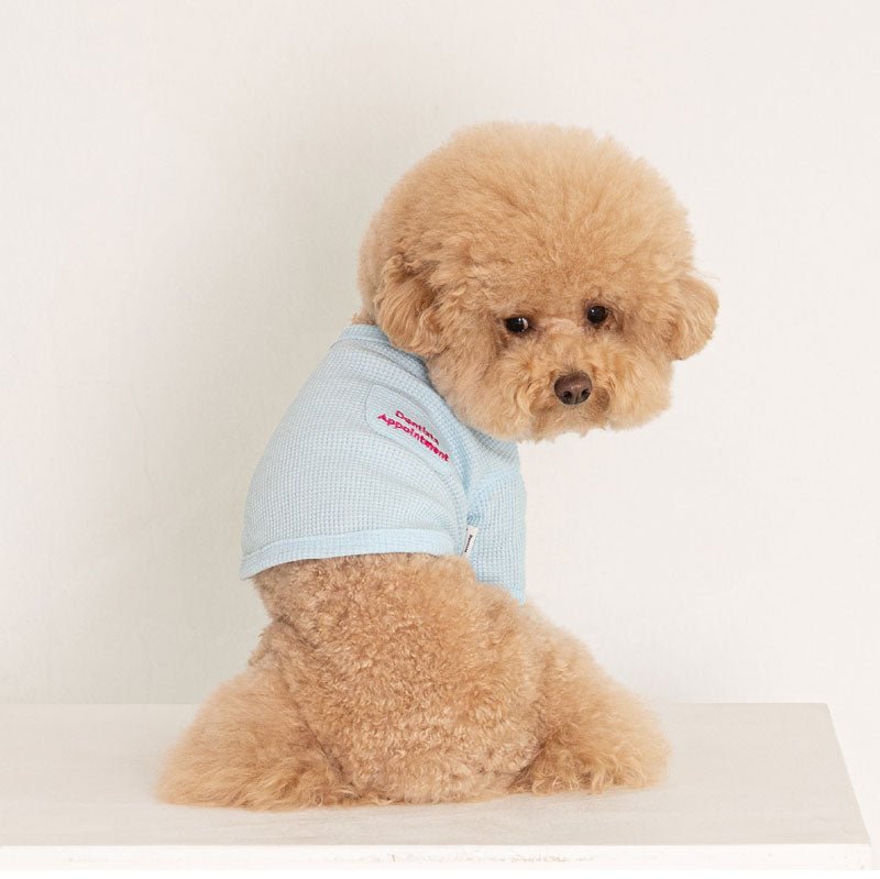 Dentist Appointment Waffle Crop T-shirt - Blue - CreatureLand