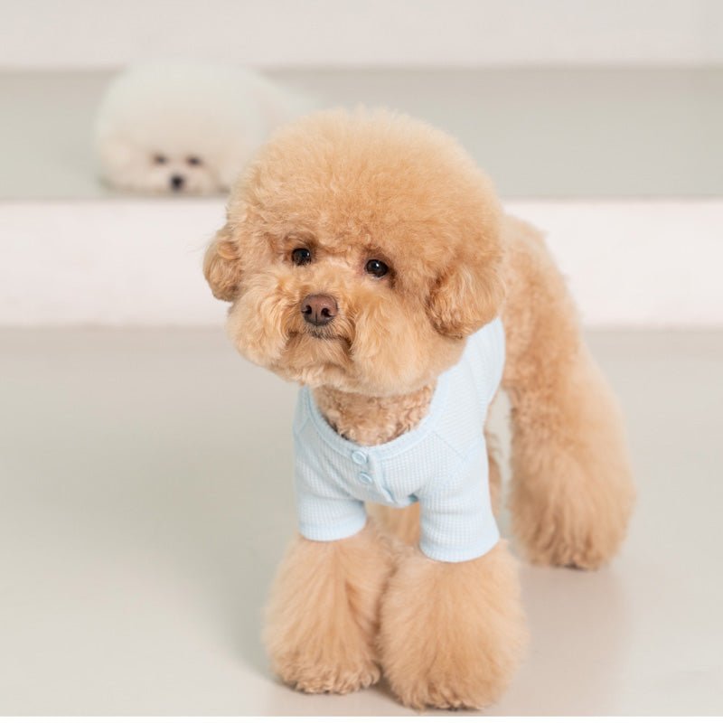 Dentist Appointment Waffle Crop T-shirt - Blue - CreatureLand