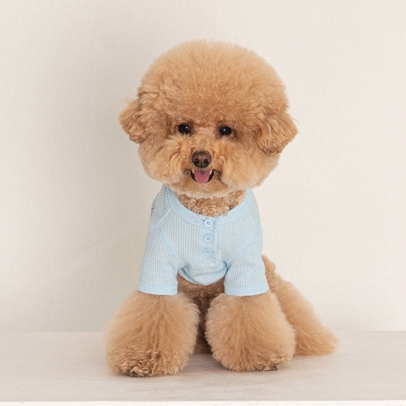 Dentist Appointment Waffle Crop T-shirt - Blue - CreatureLand