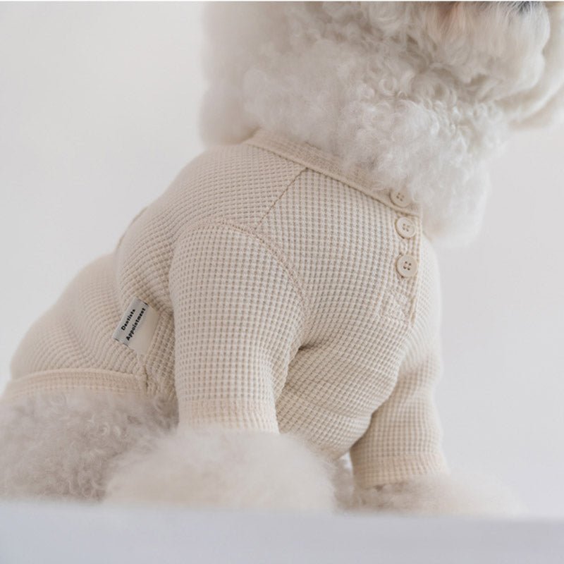 Dentist Appointment Waffle Crop T-shirt - Ivory - CreatureLand