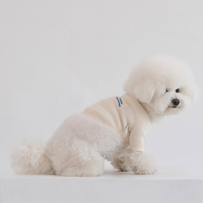 Dentist Appointment Waffle Crop T-shirt - Ivory - CreatureLand