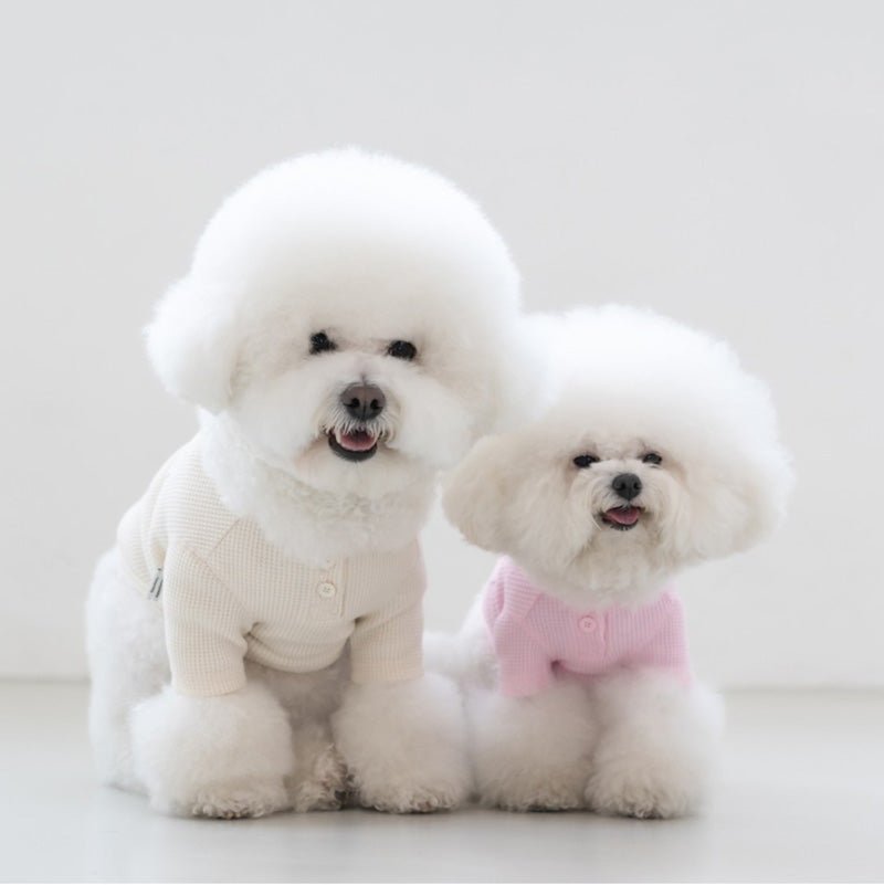 Dentist Appointment Waffle Crop T-shirt - Ivory - CreatureLand