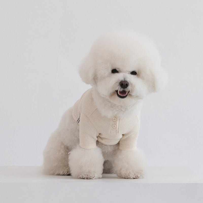 Dentist Appointment Waffle Crop T-shirt - Ivory - CreatureLand