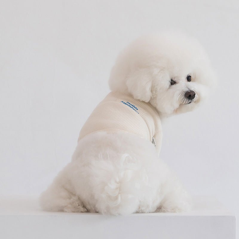 Dentist Appointment Waffle Crop T-shirt - Ivory - CreatureLand