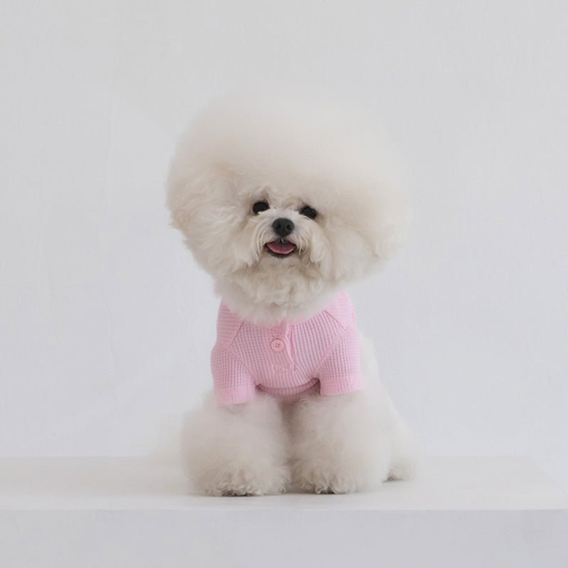 Dentist Appointment Waffle Crop T-shirt - Pink - CreatureLand