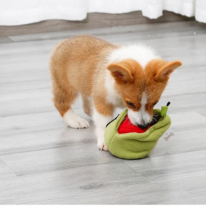 DogLemi Apple in Pear Nose Work Dog Toy - CreatureLand