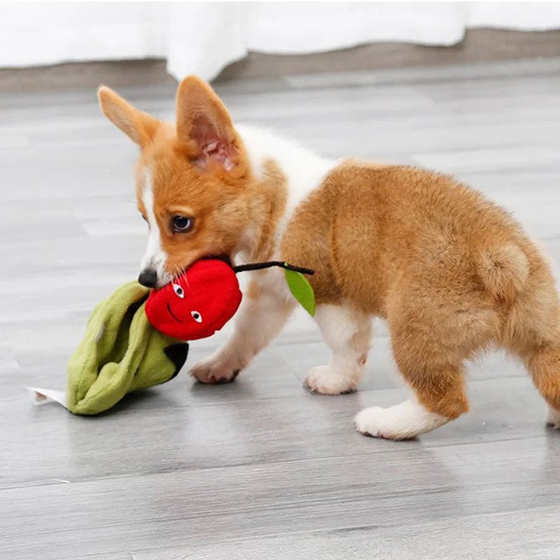 DogLemi Apple in Pear Nose Work Dog Toy - CreatureLand