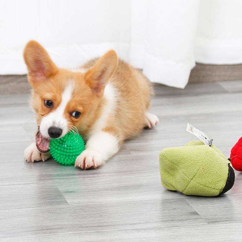 DogLemi Apple in Pear Nose Work Dog Toy - CreatureLand