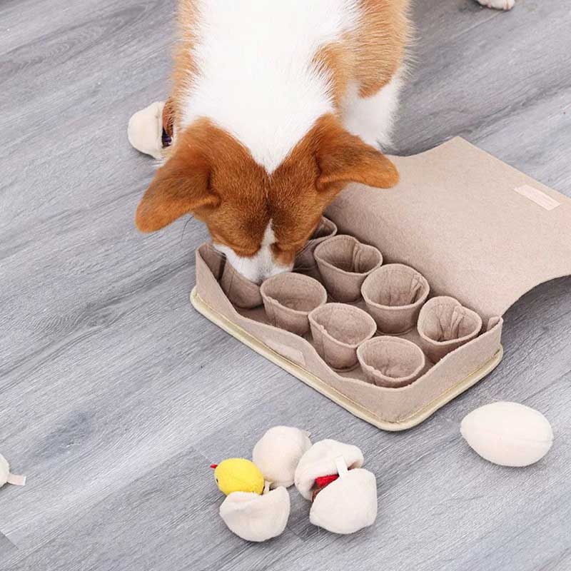 DogLemi Egg Crate Nose Work Dog Toy - CreatureLand