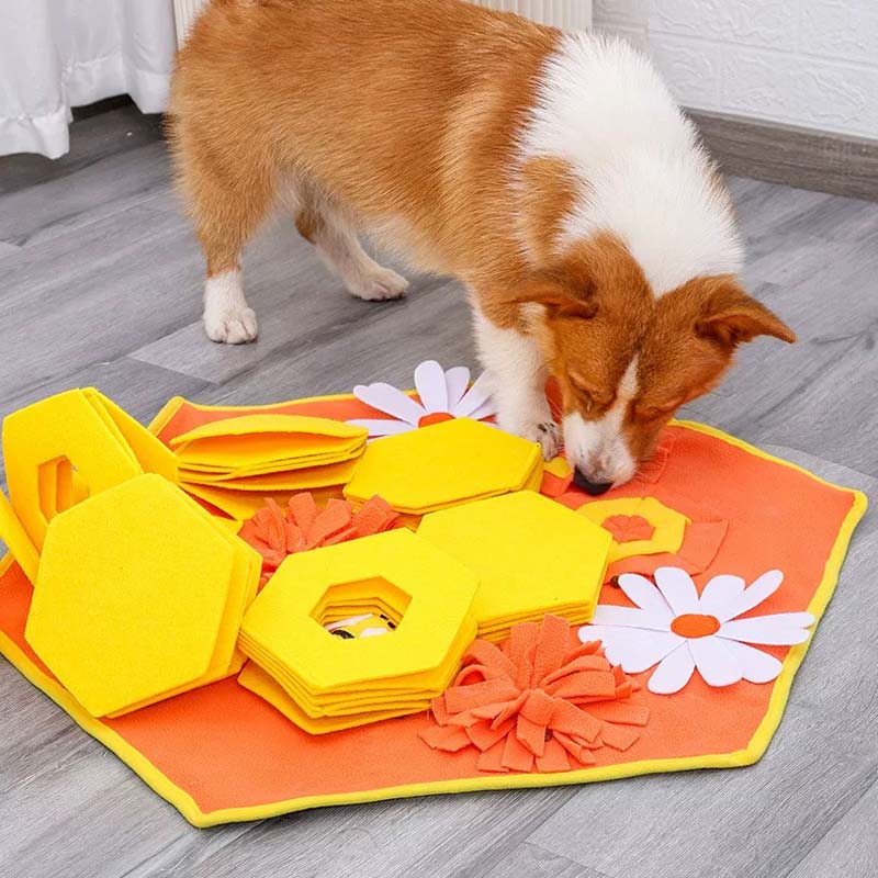 DogLemi Honey Bee Snuffle Mat Dog Toy - CreatureLand