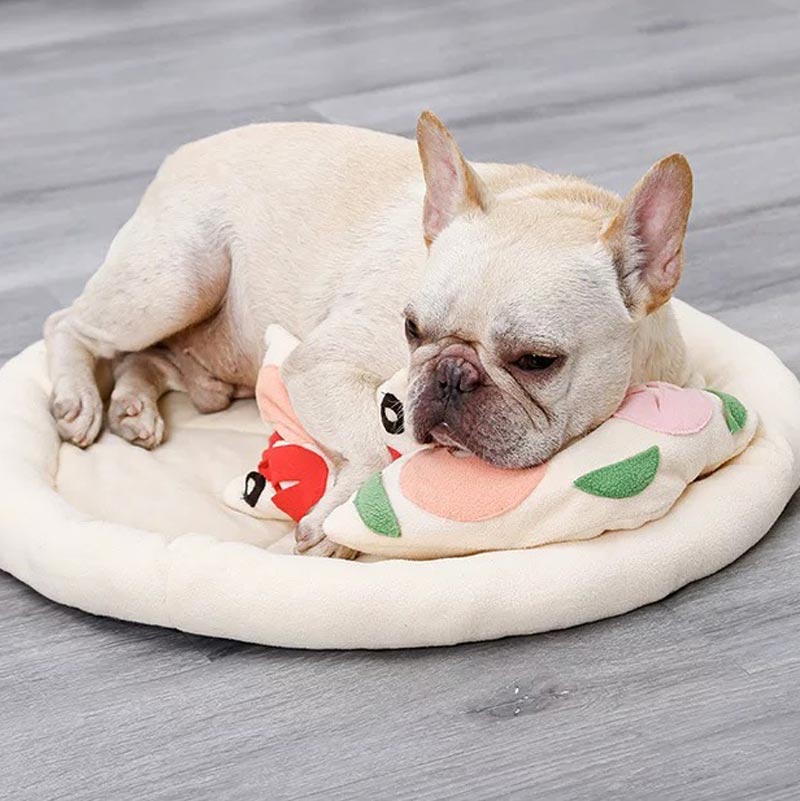 DogLemi Pizza Snuffle Mat Dog Toy - CreatureLand