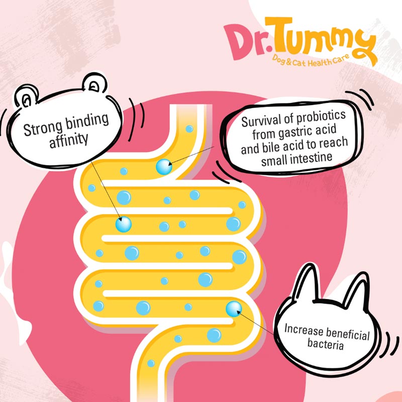 Dr. Tummy Dr. Tummy Probiotics for Cats & Dogs - CreatureLand