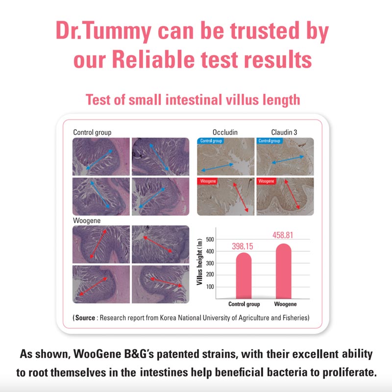 Dr. Tummy Dr. Tummy Probiotics for Cats & Dogs - CreatureLand