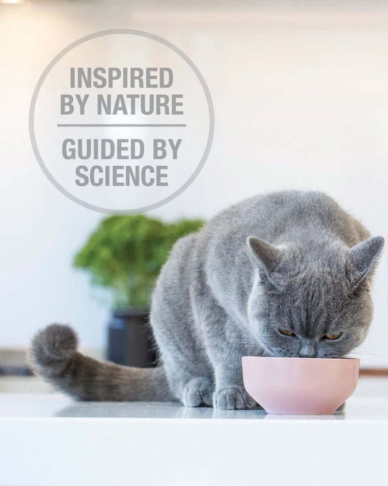 Feline Natural Feline Freeze Dried Beef Feast - CreatureLand