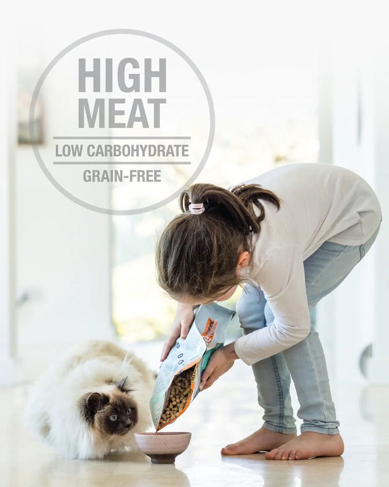 Feline Natural Feline Freeze Dried Beef Feast - CreatureLand