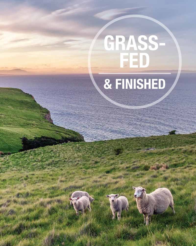 Feline Natural Feline Freeze Dried Lamb Feast - CreatureLand