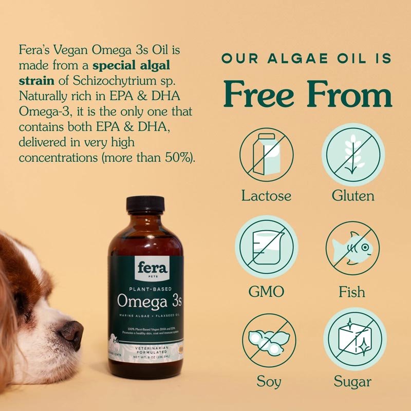 Fera Pet Organics Vegan Omega-3, 6, 9s Algae Oil For Dogs and Cats - CreatureLand