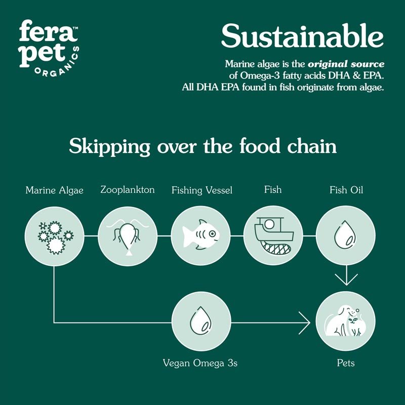 Fera Pet Organics Vegan Omega-3, 6, 9s Algae Oil For Dogs and Cats - CreatureLand