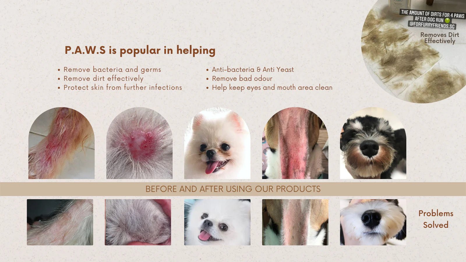 For Furry Friends Pet's Activated Water Sanitizer (3 Sizes) - CreatureLand