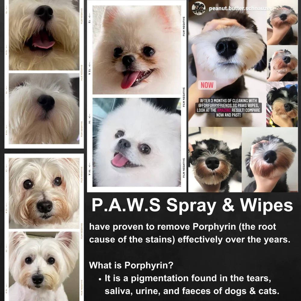 For Furry Friends Pet's Activated Water Sanitizer (3 Sizes) - CreatureLand