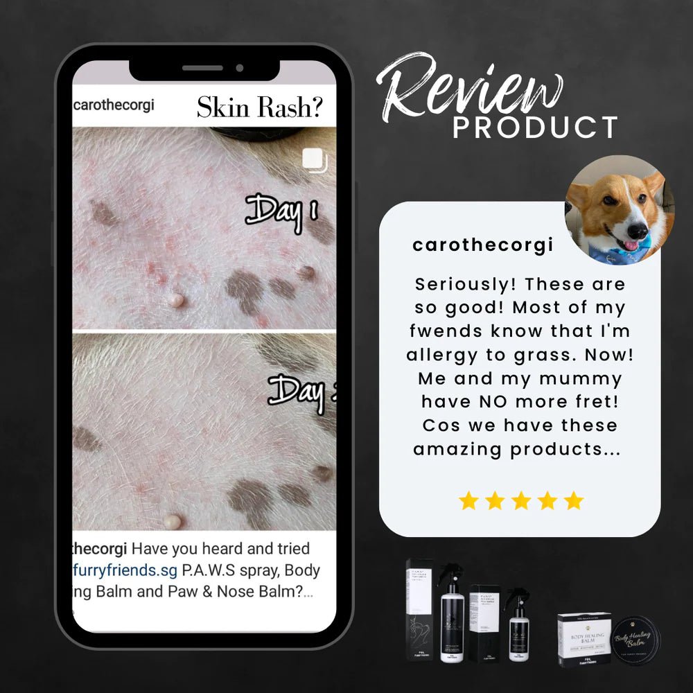 For Furry Friends Pet's Activated Water Sanitizer (3 Sizes) - CreatureLand