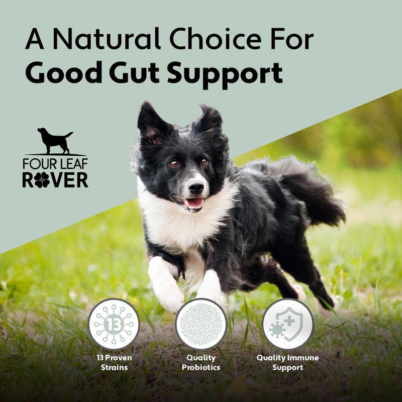 Four Leaf Rover BIFIDO FOR FIDO - Multi-Strain Probiotics With Organic Prebiotics - CreatureLand