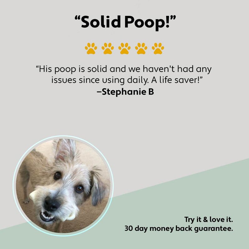 Four Leaf Rover BIFIDO FOR FIDO - Multi-Strain Probiotics With Organic Prebiotics - CreatureLand