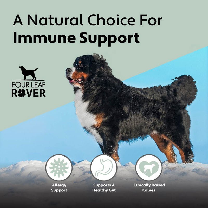 Four Leaf Rover Bovine Colostrum - Immune Support For Dogs - CreatureLand