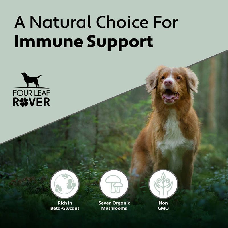 Four Leaf Rover Immunity - Organic Mushroom Mix - CreatureLand