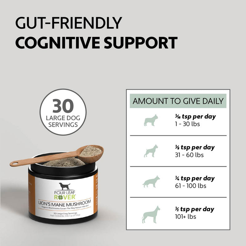 Four Leaf Rover Lion's Mane - Organic Mushroom Extract For Dogs - CreatureLand